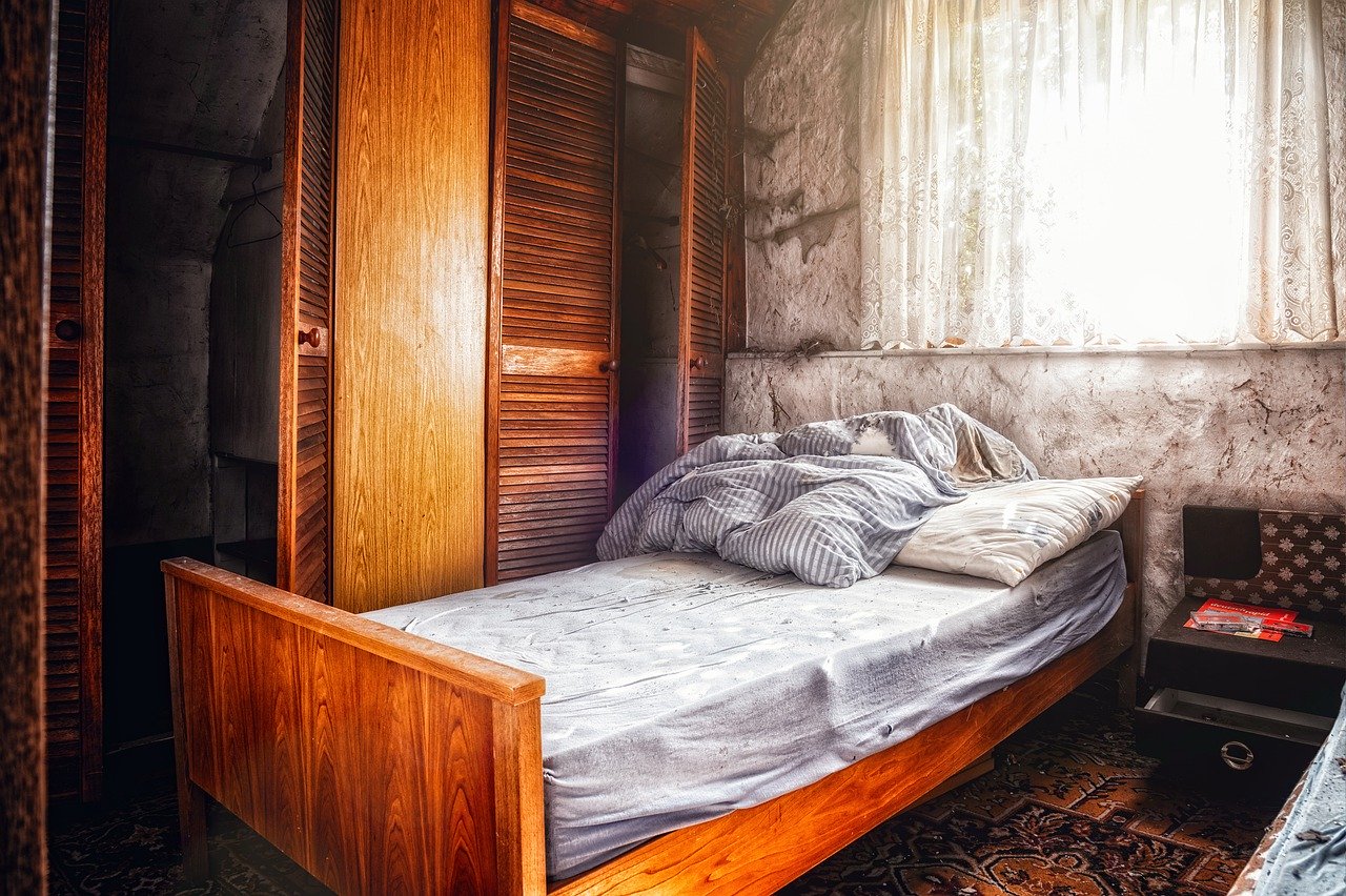 Comment se débarrasser des punaises de lit efficacement ?