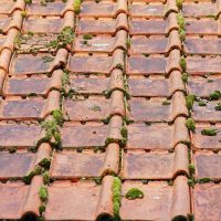 Comment entretenir sa toiture soi-même ?