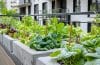 Le bac potager en toile : la solution idéale pour jardiner facilement