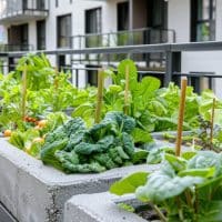 Le bac potager en toile : la solution idéale pour jardiner facilement