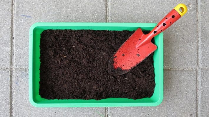 Obtenir de l&rsquo;aide pour bien entretenir son jardin : nos conseils
